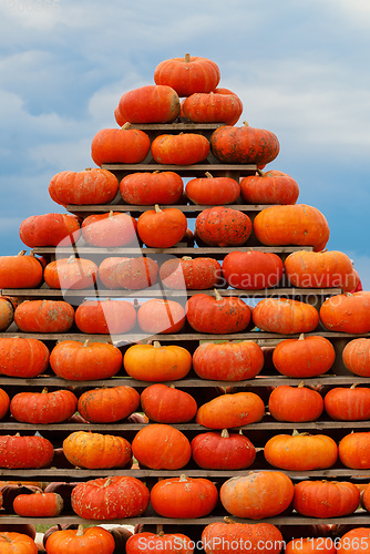 Image of pyramid from Autumn harvested pumpkins