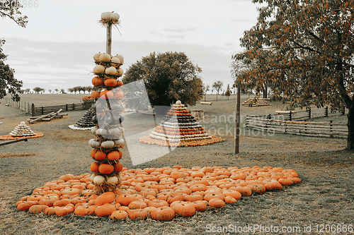 Image of pyramid from Autumn harvested pumpkins