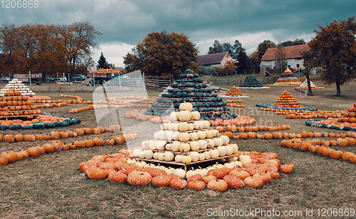 Image of pyramid from Autumn harvested pumpkins