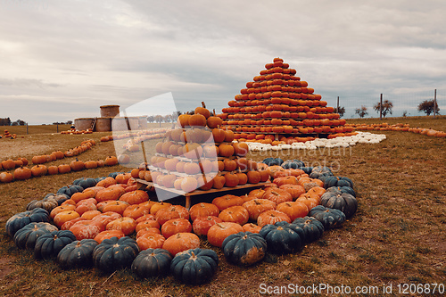 Image of pyramid from Autumn harvested pumpkins