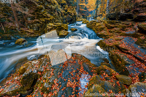 Image of wild river Doubrava, autumn landscape