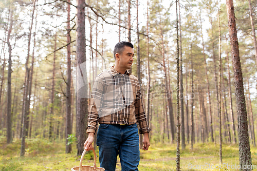 Image of happy man with basket picking mushrooms in forest