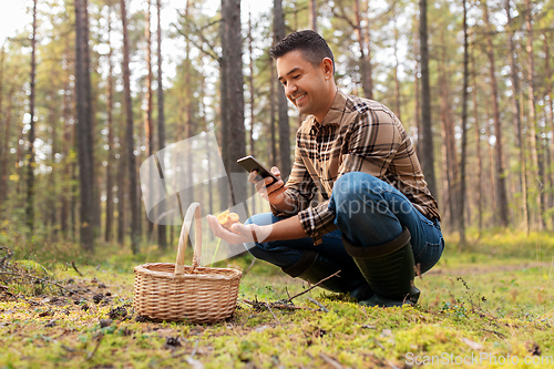 Image of man using smartphone to identify mushroom