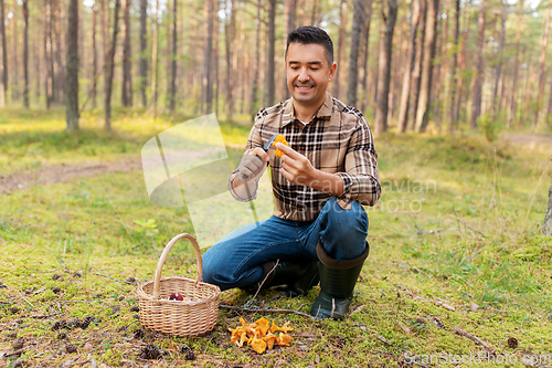 Image of happy man with basket picking mushrooms in forest