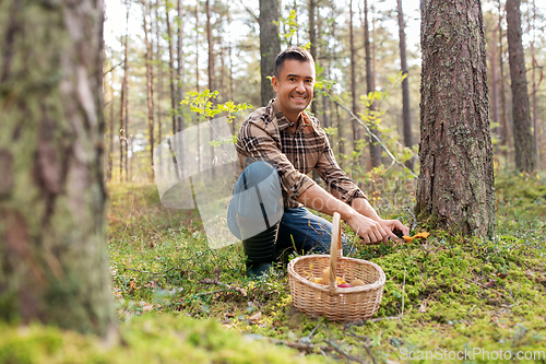 Image of happy man with basket picking mushrooms in forest