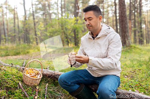 Image of man with basket picking mushrooms in forest