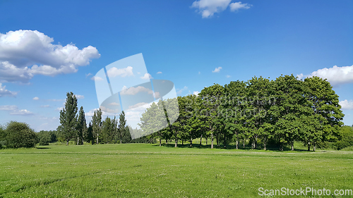 Image of Beautiful summer landscape 