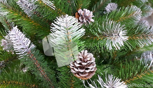 Image of Artificial branches of an Christmas tree with snow and cones