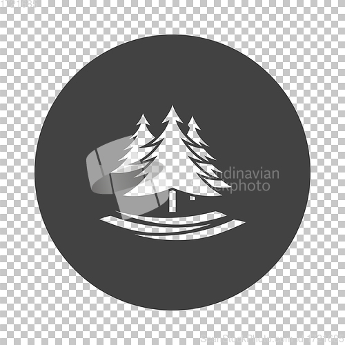 Image of Fir forest  icon
