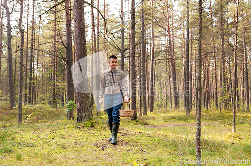 Image of happy man with basket picking mushrooms in forest