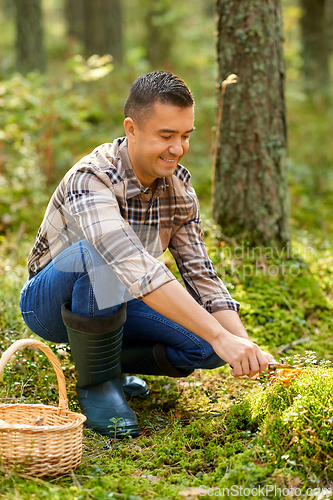 Image of happy man with basket picking mushrooms in forest