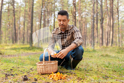 Image of happy man with basket picking mushrooms in forest