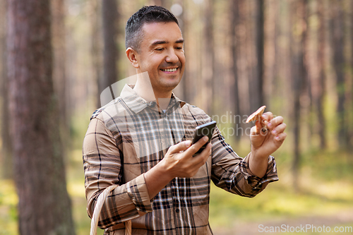 Image of man using smartphone to identify mushroom