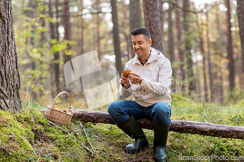 Image of man with basket picking mushrooms in forest