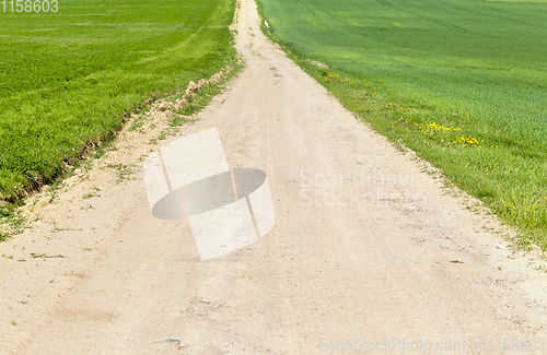 Image of spring landscape