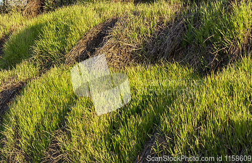 Image of agriculture in autumn