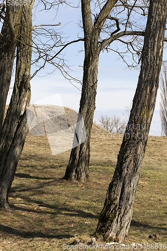 Image of early spring