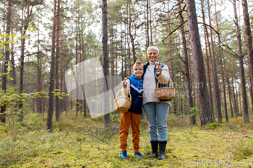 Image of grandmother and grandson with mushrooms in forest