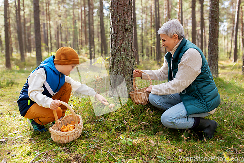 Image of grandmother and grandson with mushrooms in forest