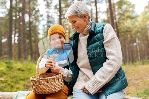 Image of grandmother and grandson with mushrooms in forest