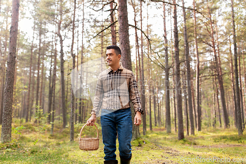 Image of happy man with basket picking mushrooms in forest