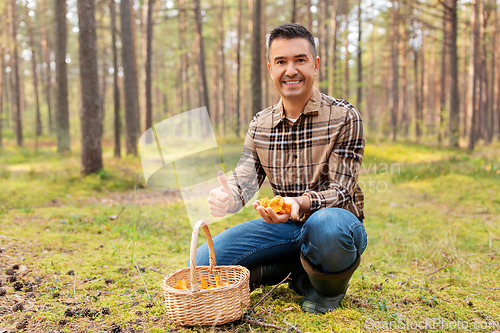 Image of happy man with basket picking mushrooms in forest