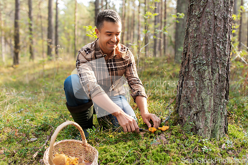 Image of happy man with basket picking mushrooms in forest