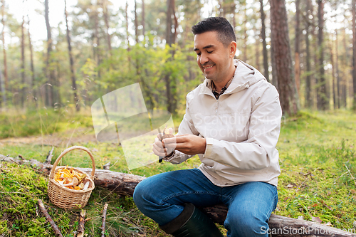 Image of man with basket picking mushrooms in forest