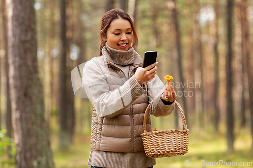 Image of asian woman using smartphone to identify mushroom