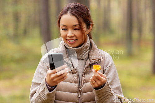 Image of asian woman using smartphone to identify mushroom