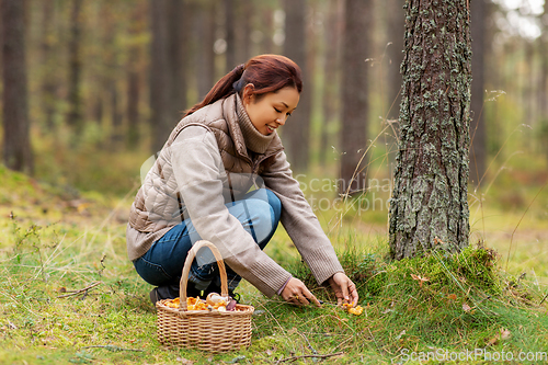 Image of young woman picking mushrooms in autumn forest