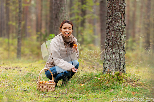 Image of young woman picking mushrooms in autumn forest