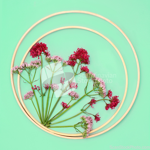 Image of Valerian Herb Flower Abstract Background Design