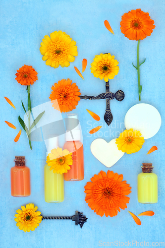 Image of Calendula Flowers for Natural Skincare Products
