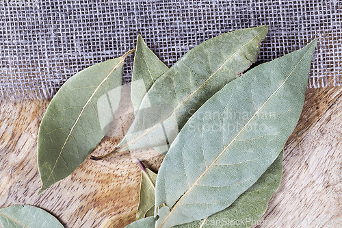 Image of green laurel leaves