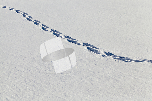 Image of traces of human