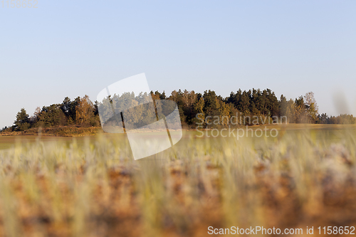 Image of autumn landscape