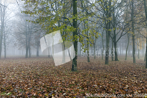 Image of autumn landscape