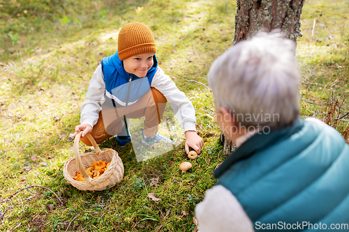 Image of grandmother and grandson with mushrooms in forest