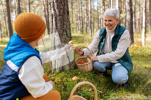 Image of grandmother and grandson with mushrooms in forest