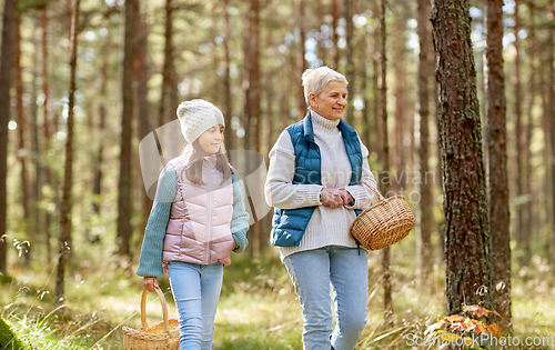 Image of grandmother and granddaughter picking mushrooms