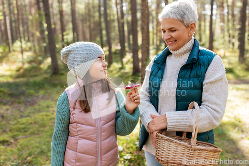 Image of grandmother and granddaughter picking mushrooms