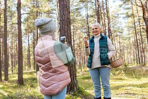 Image of granddaughter photographing grandma with mushrooms