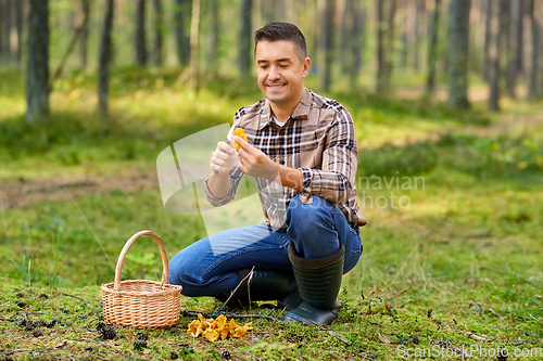 Image of happy man with basket picking mushrooms in forest