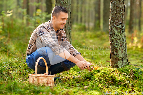 Image of happy man with basket picking mushrooms in forest