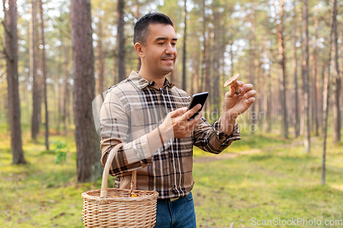 Image of man using smartphone to identify mushroom