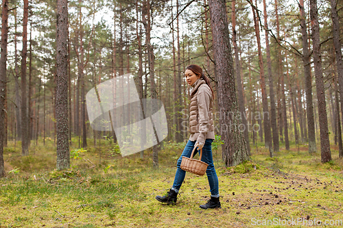 Image of young woman picking mushrooms in autumn forest