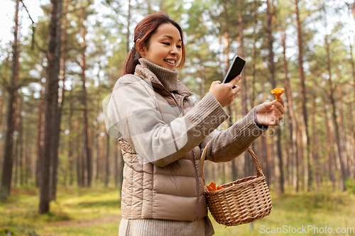 Image of asian woman using smartphone to identify mushroom