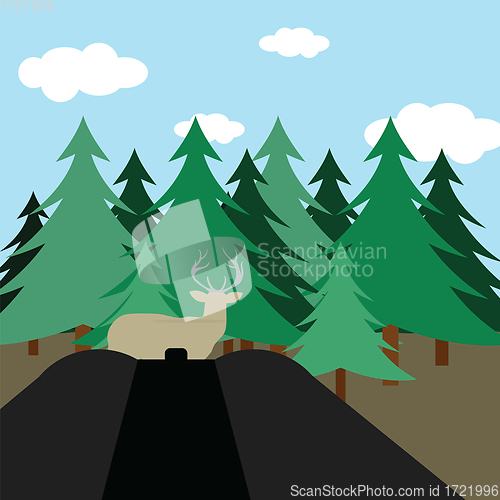 Image of Hunting in fir forest