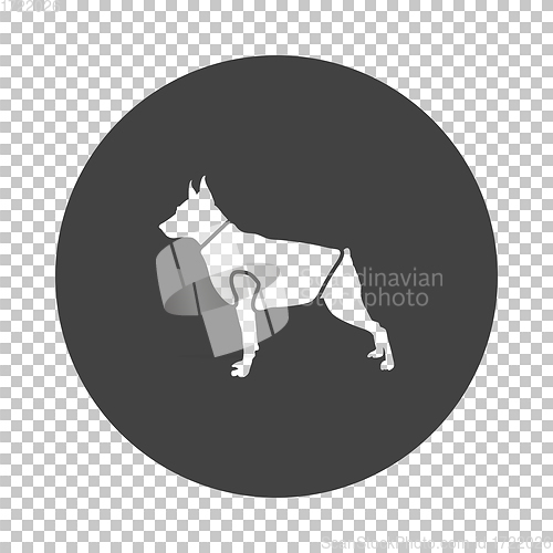 Image of Dog cloth icon